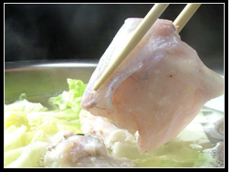 ふぐ天神コース　ふぐ天神　てっちり　てっさ　ふぐ料理　大阪　梅田　心斎橋　西田辺